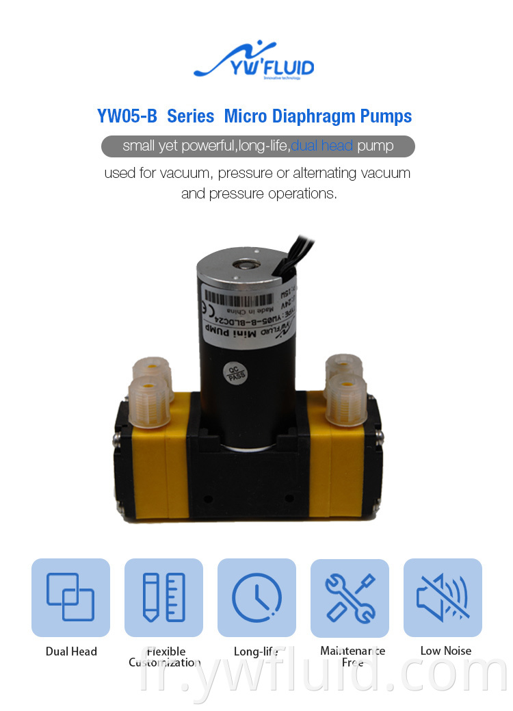 YW05-B-BLDC Double Head Diaphragm Pompe sans brosse sans brosse Pompe à eau 1200 ml / min Micro Air Pompe Aquarium Lab Analytical 4.2L / Min